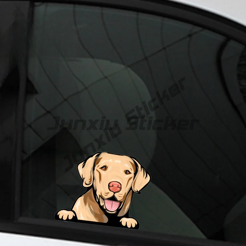 Labrador Retriever Peeker Car  - Yellow Laptop Accessories ulasan dan harga