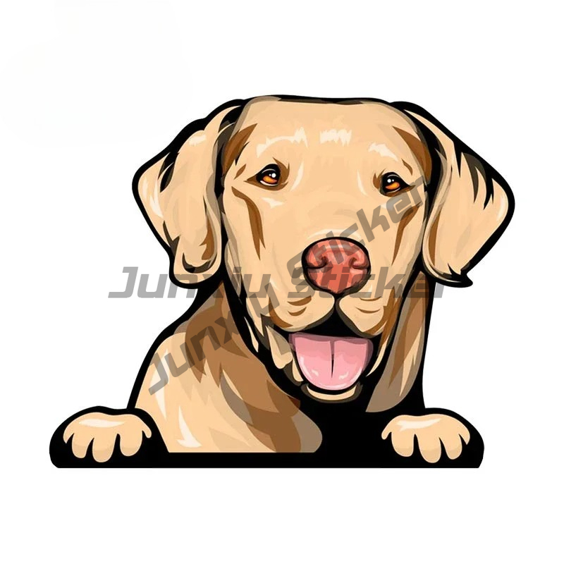 Labrador Retriever Peeker Car  - Yellow Laptop Accessories ulasan dan harga